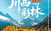 川西彩林大美黑毕丨秋季限定，赠驻地旅拍，泡温泉（5日行程）