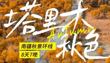 塔里木 博斯腾湖 胡杨林 沙漠公路 喀什 白沙湖 帕米尔（8日行程）