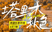 塔里木秋色 博斯腾湖 胡杨林 沙漠公路 喀什 白沙湖 帕米尔（8日行程）