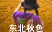 吉林 延吉 长白山 中华枫叶大道 老边沟 关门山 盘锦红海滩（7日行程）