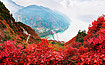 [骆驼十大]徒步长江三峡 | 360°环视三峡全景（5日行程）