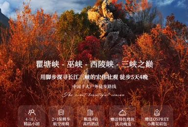 三峡红叶 宜昌 文峰观 三峡之巅 夔门 白帝城 神女天路（5日行程）