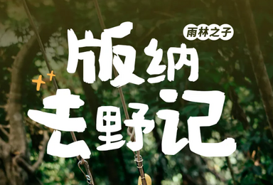 西双版纳 曼听公园 野象谷 傣族园 植物园 太阳河公园 普洱（5日行程）