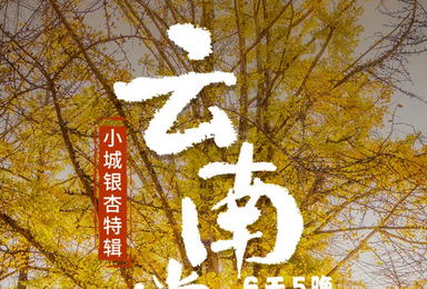 腾冲银杏 大理 诺邓 保山 瑞丽 姐告国门 芒市 热海 和顺（6日行程）
