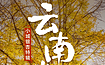 腾冲银杏 大理 诺邓 保山 瑞丽 姐告国门 芒市 热海 和顺（6日行程）