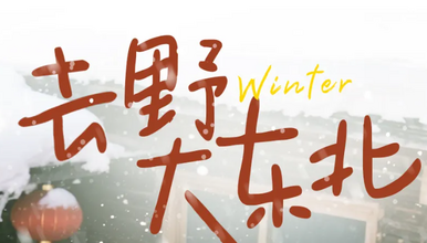 东北 哈尔滨 长白山 雪乡 延吉 温泉 冬捕 滑雪 雾凇(7日行程)