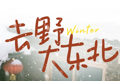 东北 哈尔滨 长白山 雪乡 延吉 温泉 冬捕 滑雪 雾凇（7日行程）