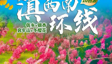 全景滇西南冬季赏花丨昆明+腾冲+瑞丽+普洱+哀牢山+大理(10日行程)
