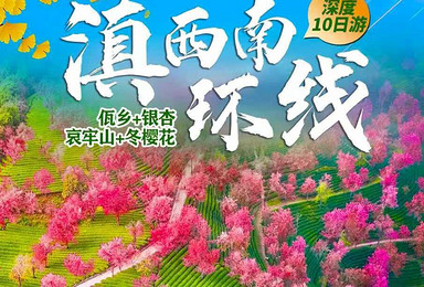 全景滇西南冬季赏花丨昆明+腾冲+瑞丽+普洱+哀牢山+大理（10日行程）