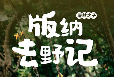 雨林之子·版纳去野记｜西双版纳+普洱两地深度游（5日行程）