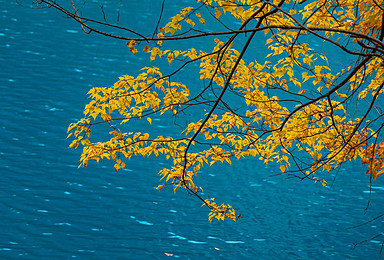 行游[金秋九寨6天5晚]2-8人品质小团|深入川西秋景花板（6日行程）