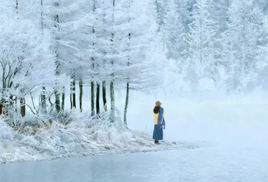 [北境喀禾]禾木、喀纳斯越野旅行（7日行程）