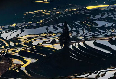 2025年滇东南之春 弥勒 蒙自 元阳梯田 建水 抚仙湖（7日行程）