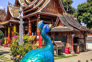 解锁版纳时光 野象谷 傣族园 星光夜市 傣乡古寨5日深度游（5日行程）