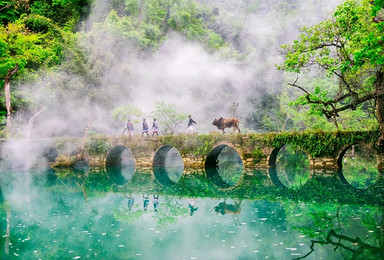 春节贵州 镇远古镇 肇兴侗寨 厦格侗寨 小七孔 西江千户苗寨（6日行程）