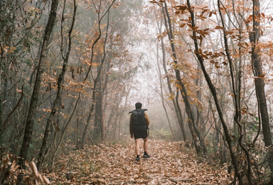 [金牛古道]金牛古道+剑门关+昭化古城轻徒步6日（6日行程）