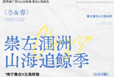 崇左 涠洲岛 山海追鲸 南宁 德天跨国瀑布 明仕田园 北海（6日行程）