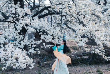 2026[寻春纪·金川梨花] 万树金川雪，百里小环春（4日行程）