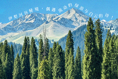 牧歌天山·飞享伊犁-献给归来仍是少年的你（10日行程）