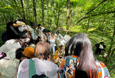 哈尔滨伊春 6 日亲子线,骑行采蜜航天课堂+萌宠互动体验(6日行程) 哈尔滨伊春 6 日亲子线,骑行采蜜航天课堂+萌宠互动体验(6日行程)