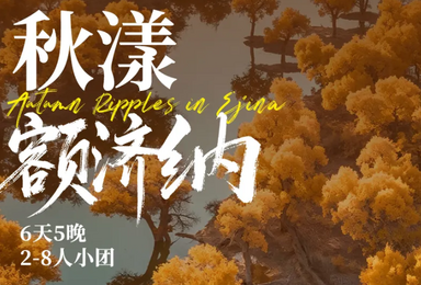 兰州 天梯山石窟 弱水胡杨林 额济纳胡杨林 腾格里沙漠（6日行程）
