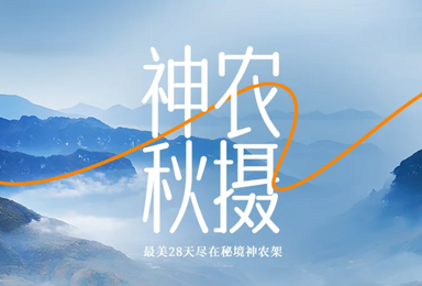 神农秋摄 走进原生态的神农架斑斓之秋（4日行程）