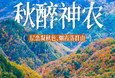 金秋神农架 遍览三大胜境 探秘原始森林轻徒步（5日行程）